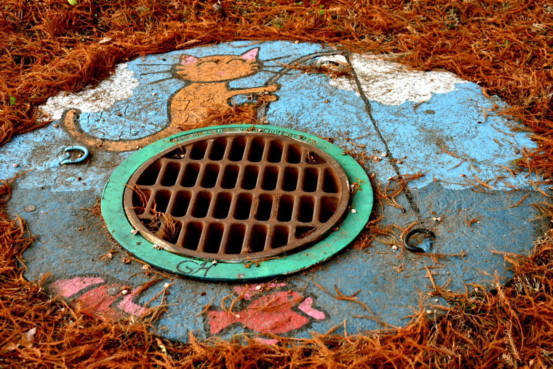 Sewer Scope Inspections
